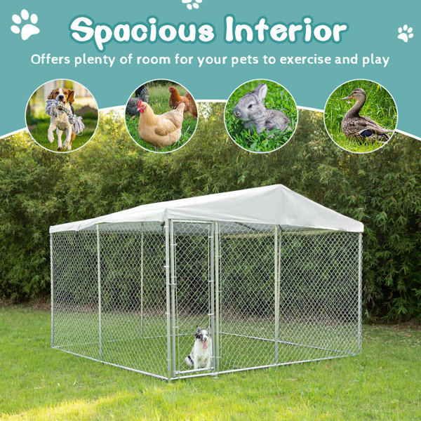 Meetwarm Outdoor Dog Pen Wayfair